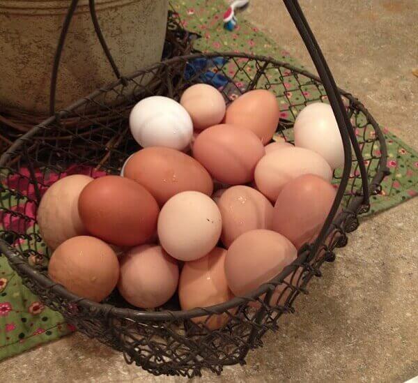 تمیز کردن و نگهداری تخم مرغ