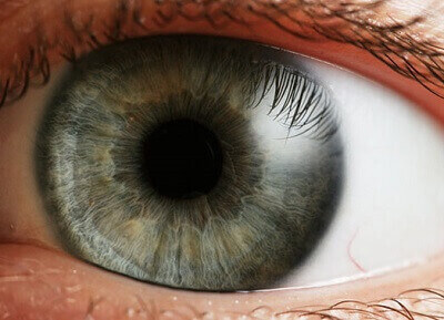 تعیین بیماری با دیدن چشم